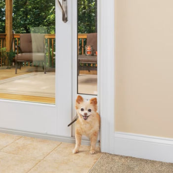 Puertas para Mascotas